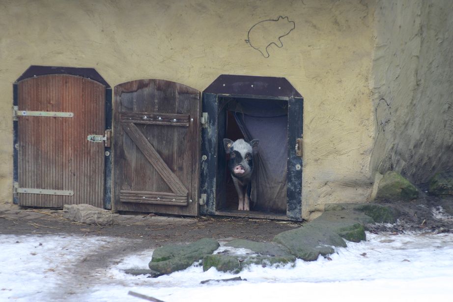 2011040811285904_k-Zoo & Co 027.JPG